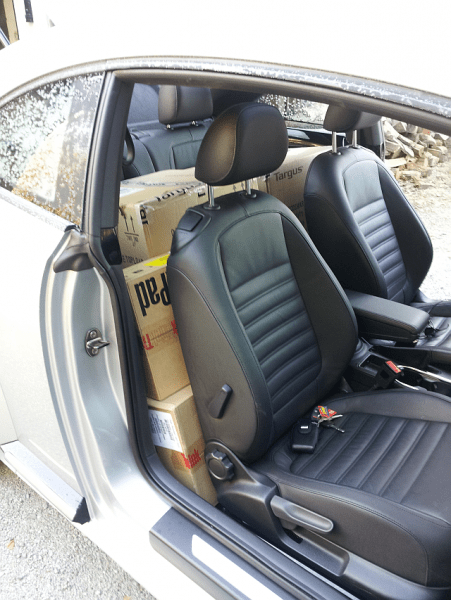 Loaded down beetle 2