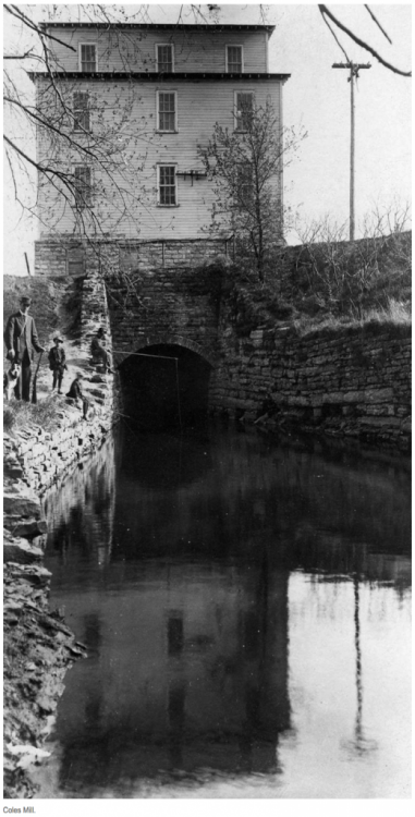 Screen Shot 2019-03-17 at 6.03.30 PM.png