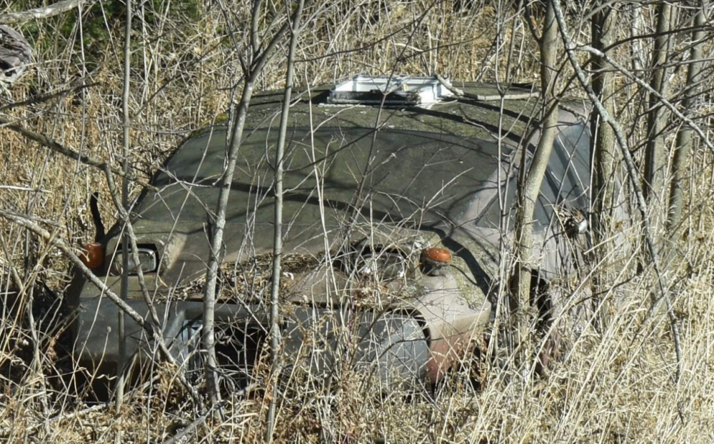 Screen Shot 2020-12-12 at 11.30.54 AM.png