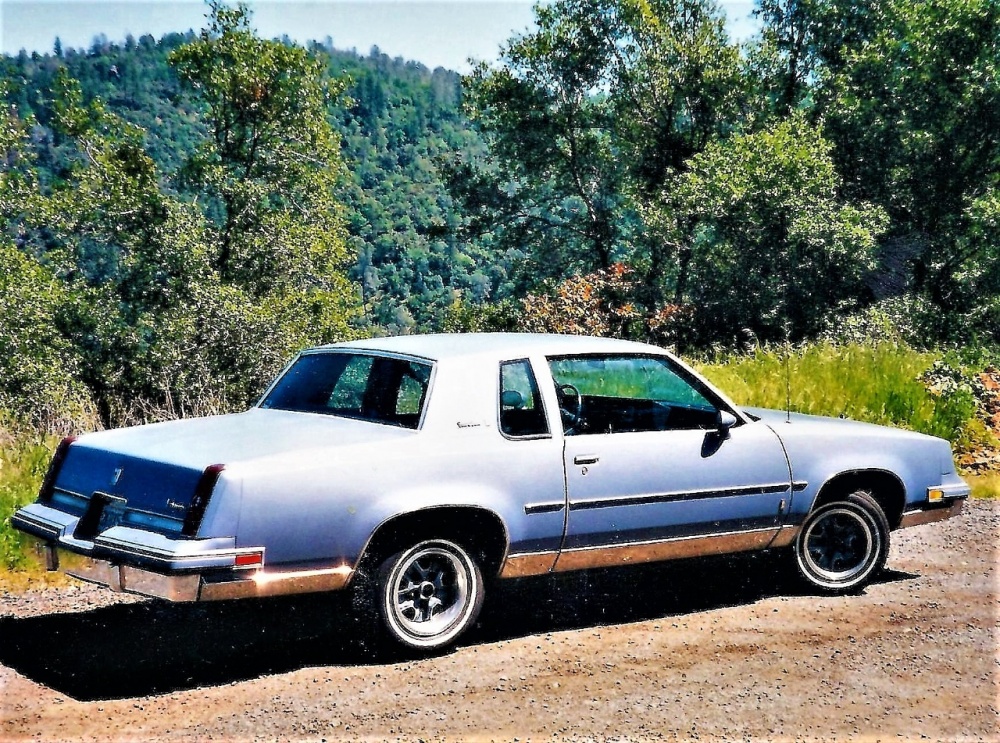 759464790_1984CutlassSupremeBrougham.thumb.jpg.c5573e6ecac55e00d7e7974b42d73d76.jpg
