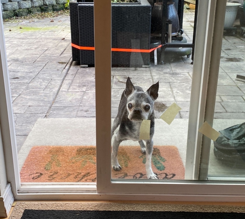 Image from iOS (2).jpg