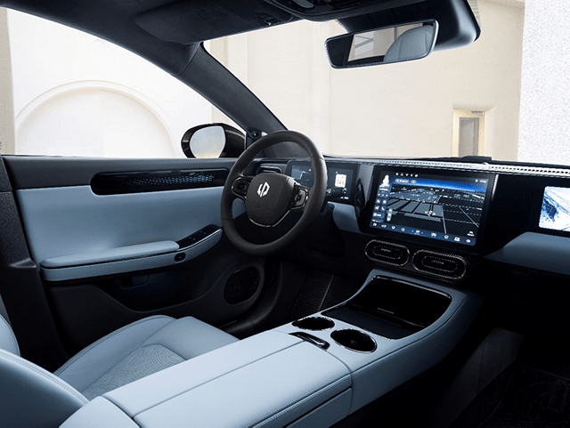 LEAPMOTOR Picture3.png